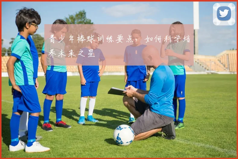 青少年棒球训练要点，如何科学培养未来之星