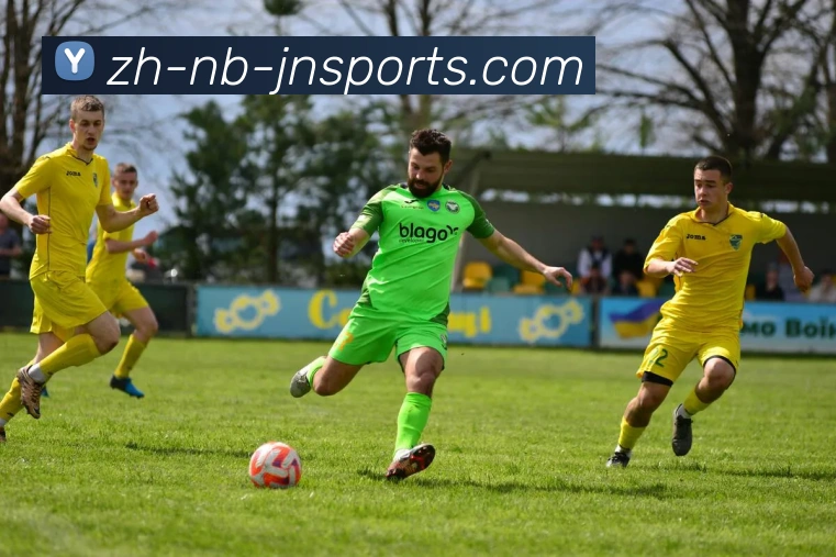 江南体育平台生态图